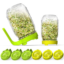 Yuming Amazon Hot Selling Wholesale Sprout Lid Jar Mason Jar Sprouting Lids Sprout Lid Glass Jar